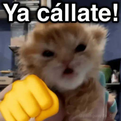 🐈🐈‍⬛🧶 GATOS 3 🧶🐈🐈‍⬛