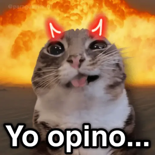 🐈🐈‍⬛🧶 GATOS 3 🧶🐈🐈‍⬛