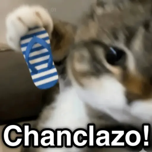 🐈🐈‍⬛🧶 GATOS 3 🧶🐈🐈‍⬛