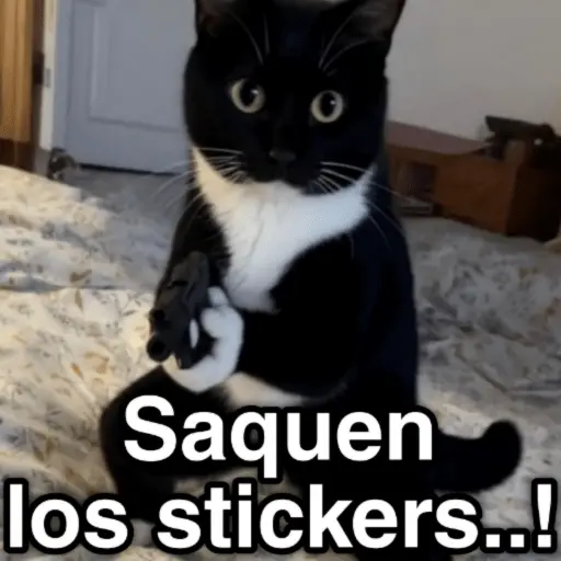 🐈🐈‍⬛🧶 GATOS 3 🧶🐈🐈‍⬛