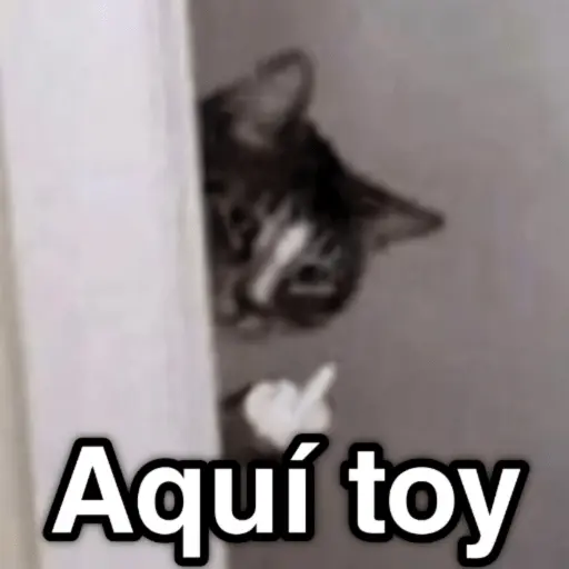 🐈🐈‍⬛🧶 GATOS 3 🧶🐈🐈‍⬛