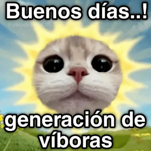 🐈🐈‍⬛🧶 GATOS 3 🧶🐈🐈‍⬛