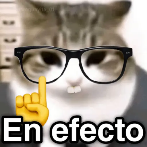 🐈🐈‍⬛🧶 GATOS 3 🧶🐈🐈‍⬛