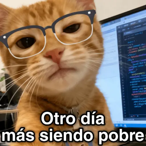 🐈🐈‍⬛🧶 GATOS 3 🧶🐈🐈‍⬛