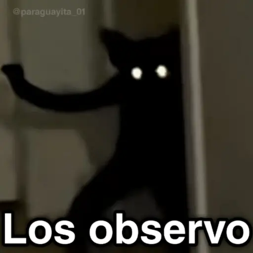 🐈🐈‍⬛🧶 GATOS 3 🧶🐈🐈‍⬛