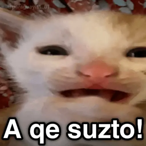 🐈🐈‍⬛🧶 GATOS 3 🧶🐈🐈‍⬛