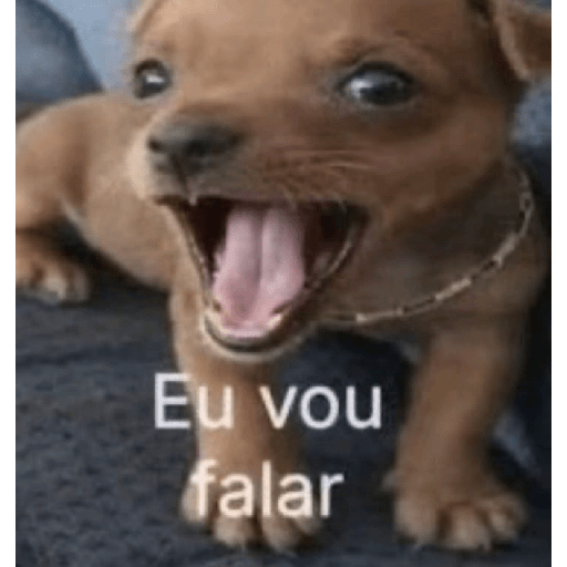 Oi Posso falar? preview