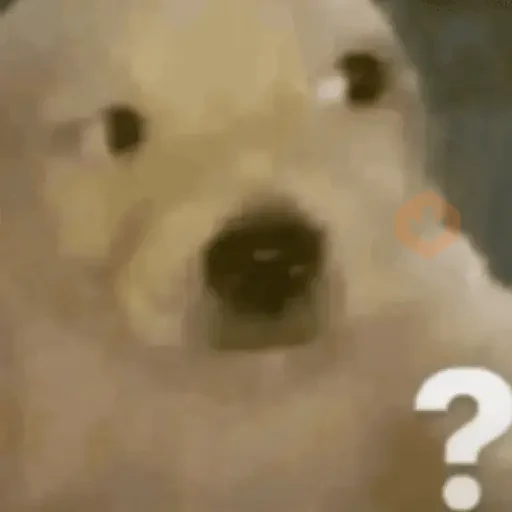 Random TikTok sticker 19
