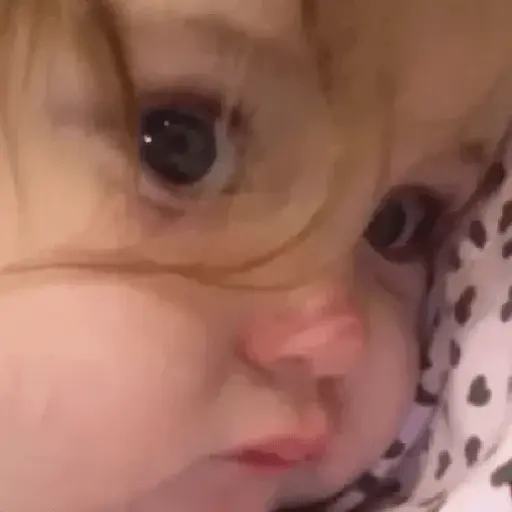 Bebés 🚼🍼