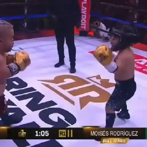 ring royale 😎 