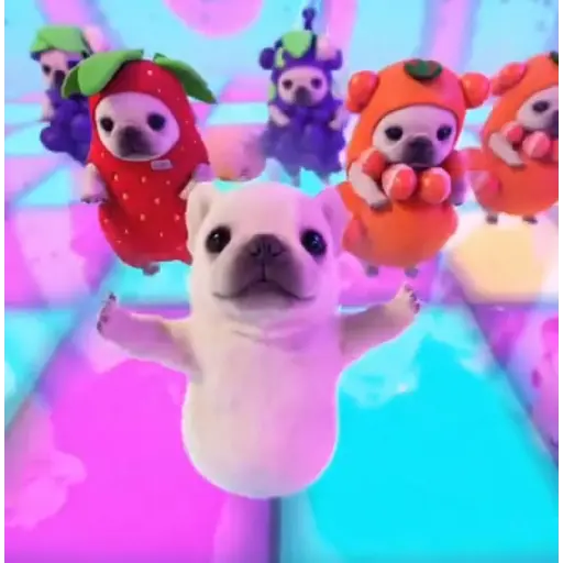 Pibble the dog 🐶💖 preview