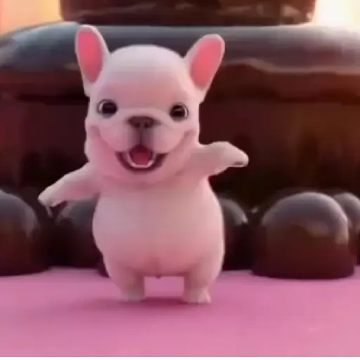 Pibble the dog 🐶💖