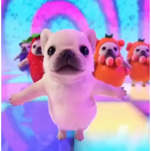 Pibble the dog 🐶💖