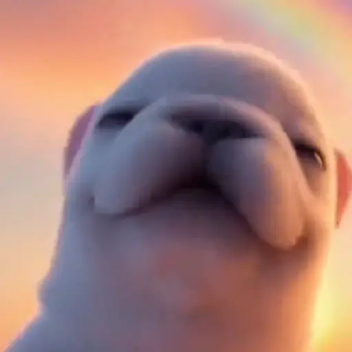 Pibble the dog 🐶💖