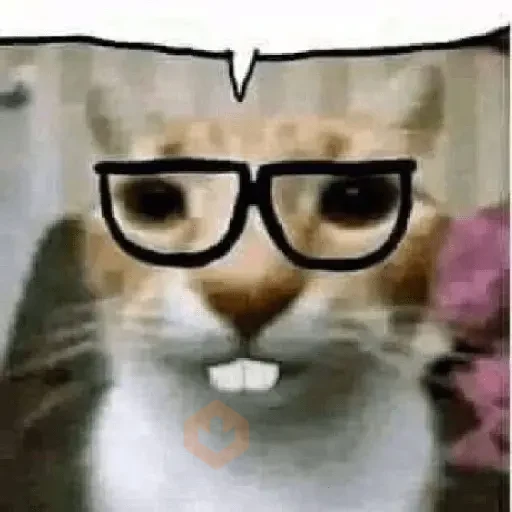 Memesfdskkk sticker 21