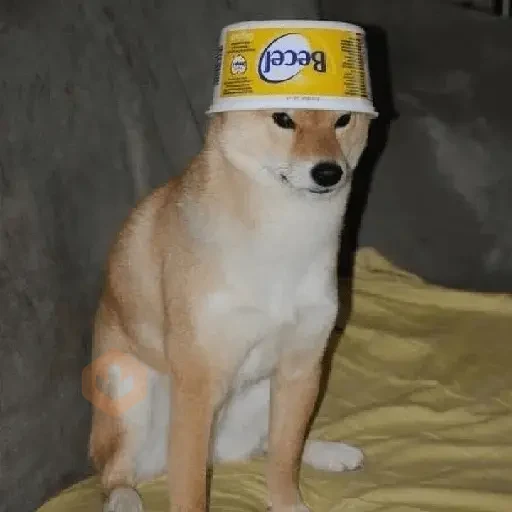Memesfdskkk sticker 20
