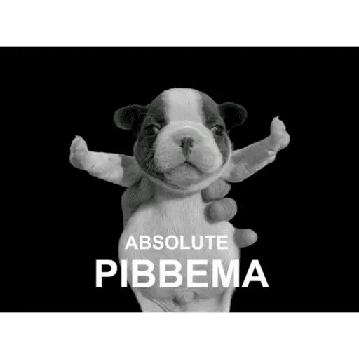 Pibble