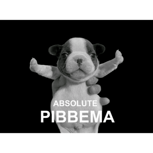 Pibble preview