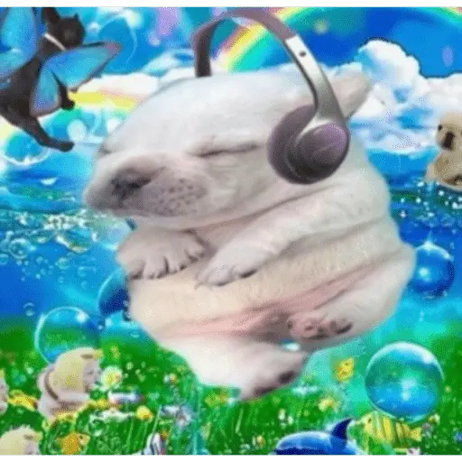 Pibble