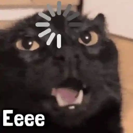 Más Michis! 🐾😸
