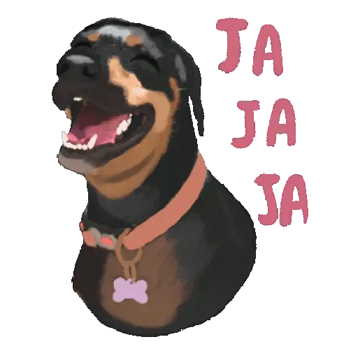 Risas 🤣 Mov