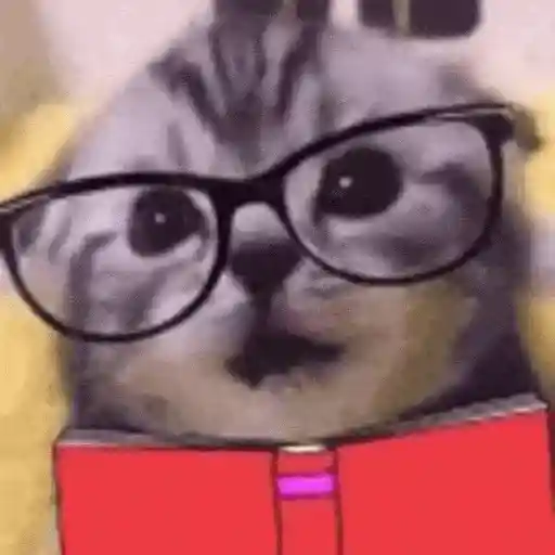 Gatos Curiosos 2😼👁️‍🗨️  preview