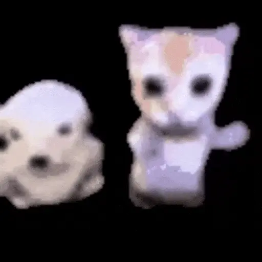 Gatos Curiosos 2😼👁️‍🗨️ 