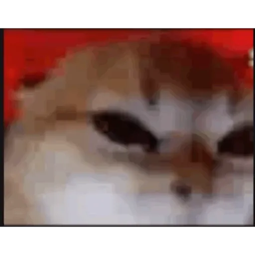 bailecito hot 🥵🥵🥵👌👌🤞🤞😵😵👅👅🤙🤙 preview