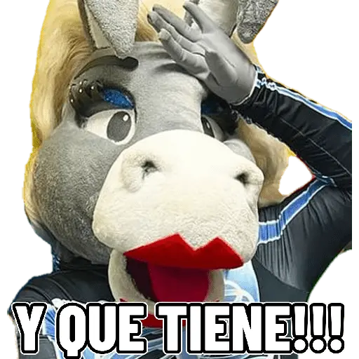 mis amigos 