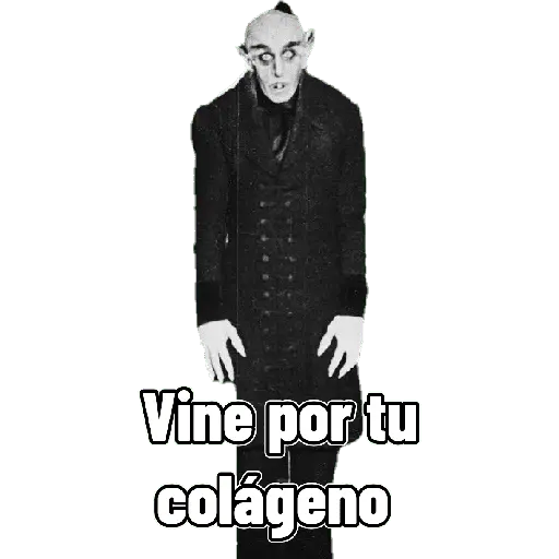 mis amigos 
