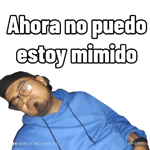 mis amigos 