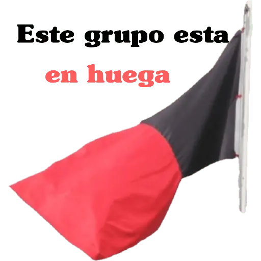 mis amigos 