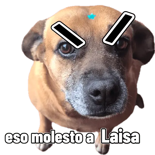 mis amigos 