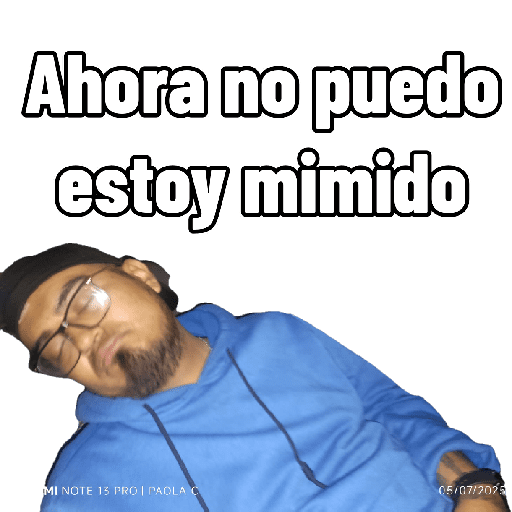 mis amigos  preview