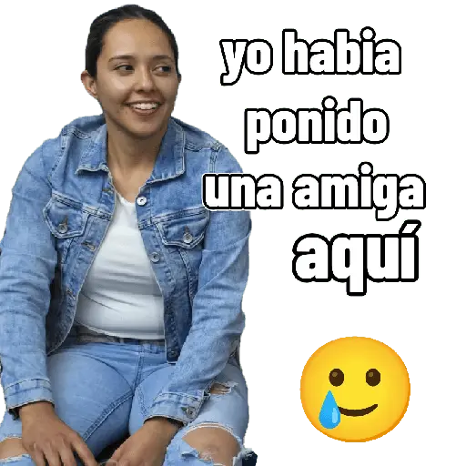 mis amigos 