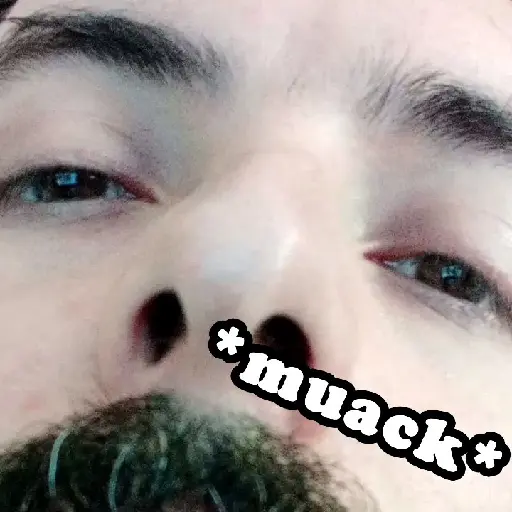 mapache