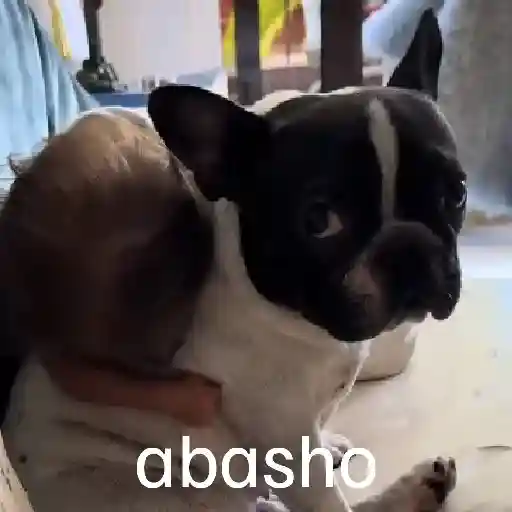 🎀 Maria Paula TikTok 🎀