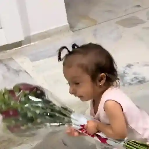 🎀 Maria Paula TikTok 🎀