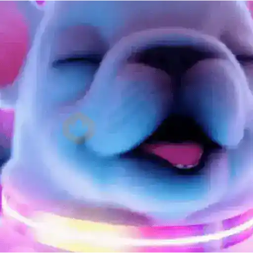 Pibble~🐶🐾