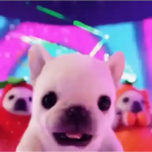 Pibble~🐶🐾