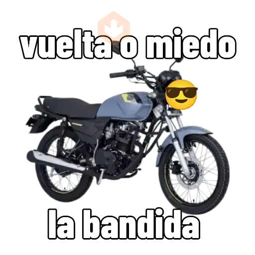 moto sticker 12