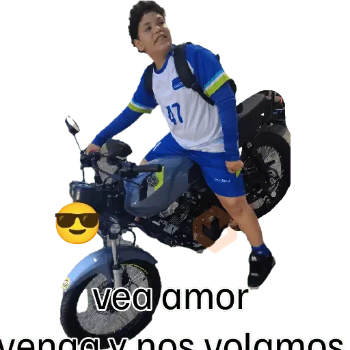 moto sticker 25