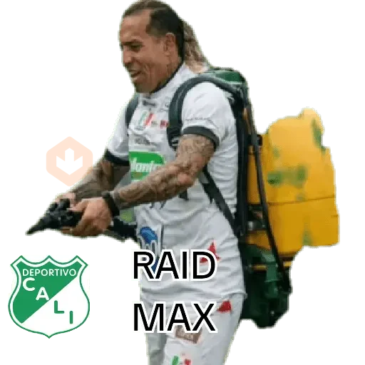moto sticker 19