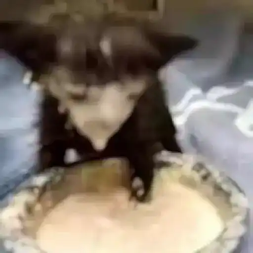 ₛₕᵤₜ yₒᵤᵣ bᵢₜcₕ ₐₛₛ ᵤₚ!