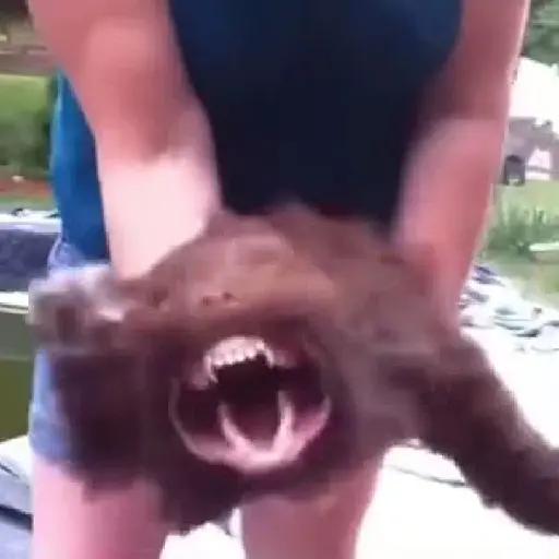 ₛₕᵤₜ yₒᵤᵣ bᵢₜcₕ ₐₛₛ ᵤₚ!