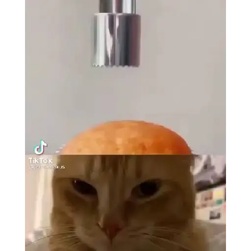 ₛₕᵤₜ yₒᵤᵣ bᵢₜcₕ ₐₛₛ ᵤₚ!