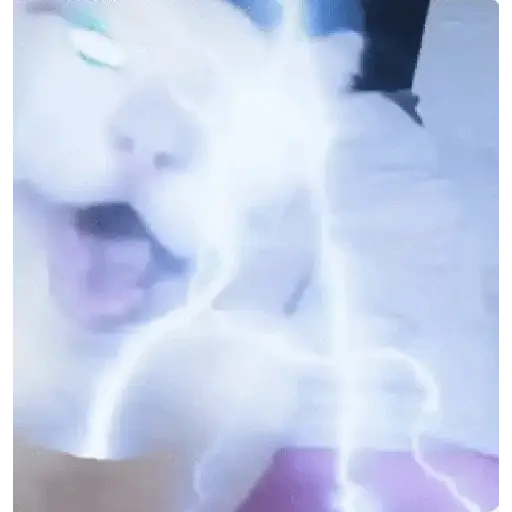 ₛₕᵤₜ yₒᵤᵣ bᵢₜcₕ ₐₛₛ ᵤₚ!