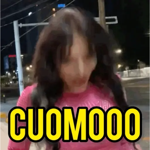 Perdidas y Las de Apelo 