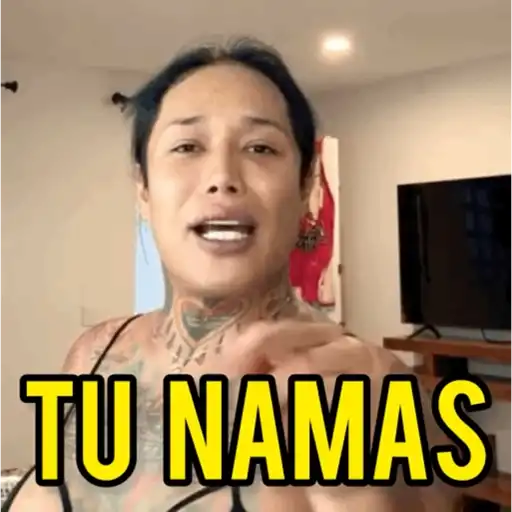 Perdidas y Las de Apelo 