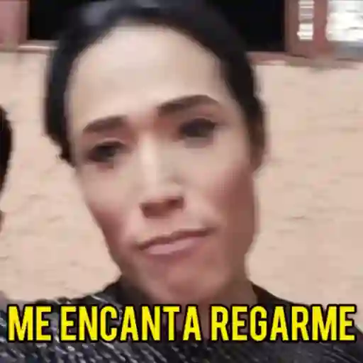 Perdidas y Las de Apelo 
